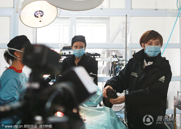 ��ͼ����ٳ̽�ú��ܾȻ�վ Ϊ����ȡ�������桱