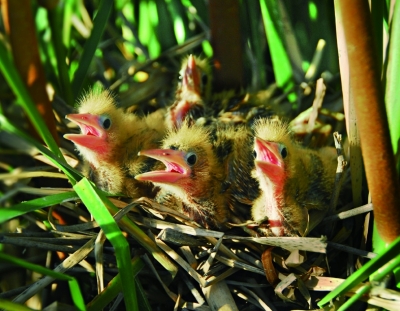 ��������Ӱ